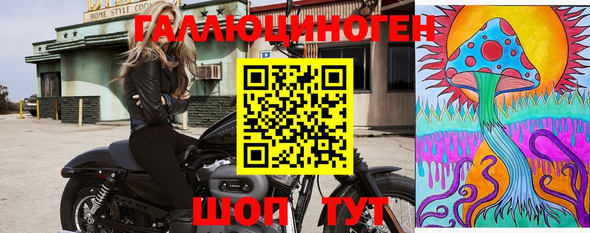 Псилоцибиновые грибы Psilocybe  Вход с VPN  Нерюнгри 