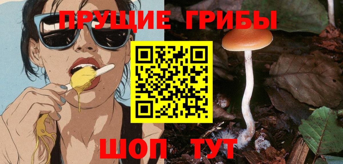 Псилоцибиновые грибы MAGIC MUSHROOMS Нерюнгри