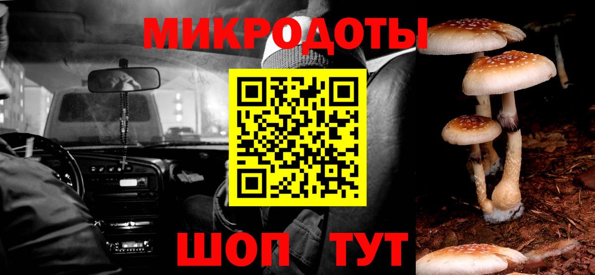 Псилоцибиновые грибы MAGIC MUSHROOMS  Нерюнгри 